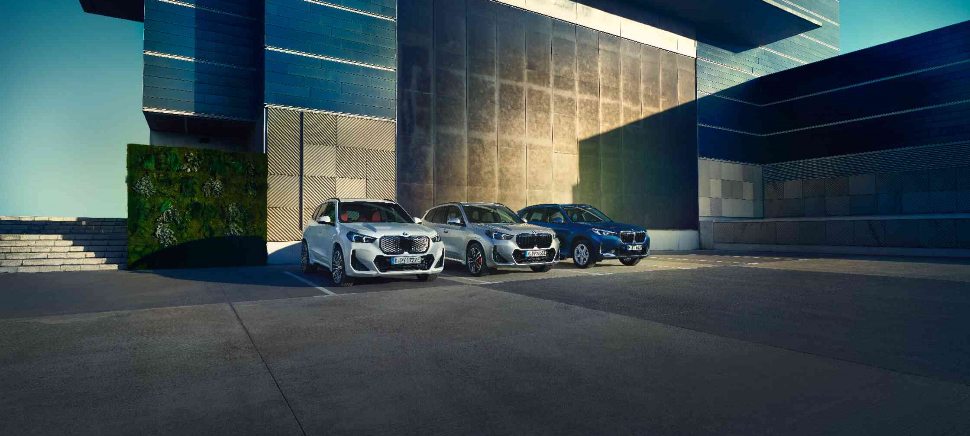 Familia BMW X1